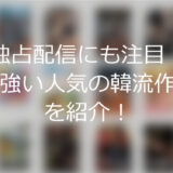 独占配信にも注目！根強い人気の韓流作品を紹介します！