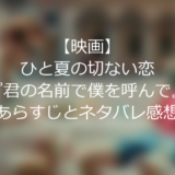 【映画】ひと夏の切ない恋”君の名前で僕を呼んで”あらすじとネタバレ感想